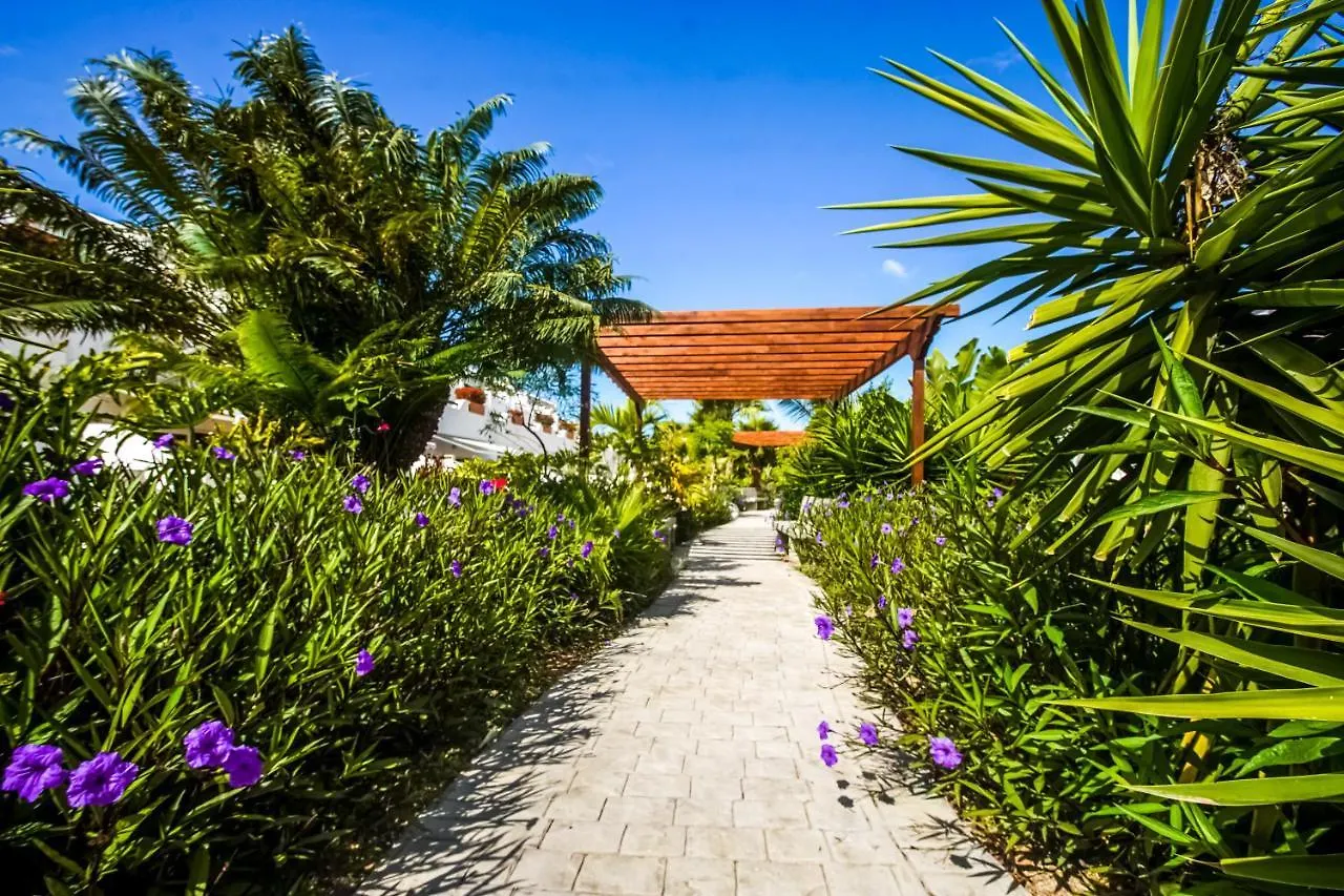 Parque Don Jose Apartment Costa Del Silencio 0*,  Spanyolország